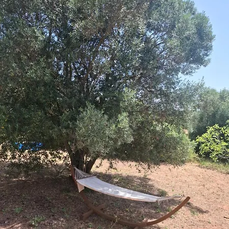 Poco Novo Algarve